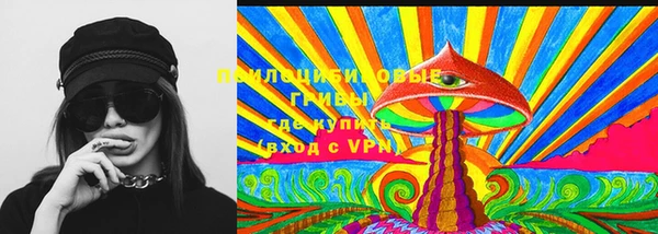 сатива Алексин