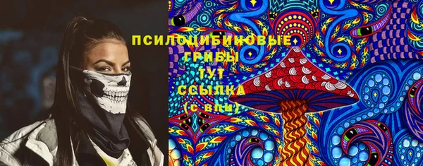 соль ск Алексеевка