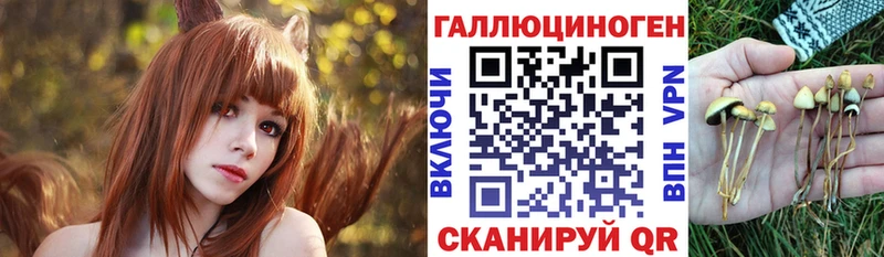 Галлюциногенные грибы Magic Shrooms  Купить  Чулым 